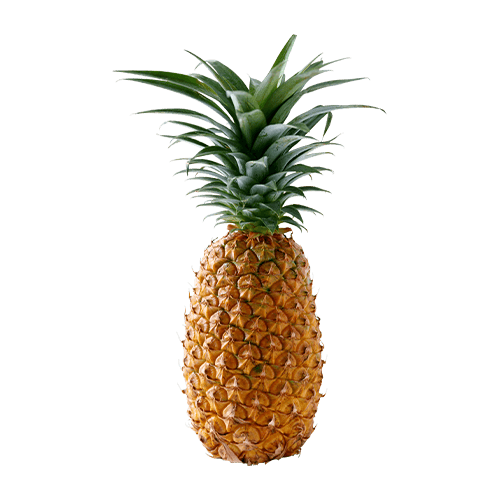 [SCT0104] Pineapple