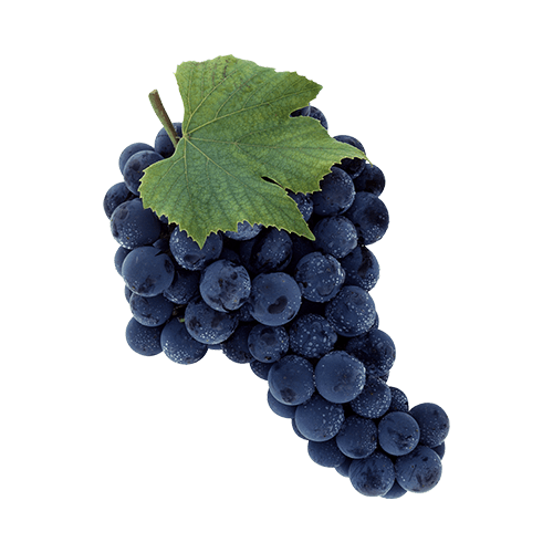 Grapes