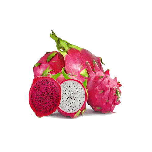 [SCT0106] Dragon Fruit